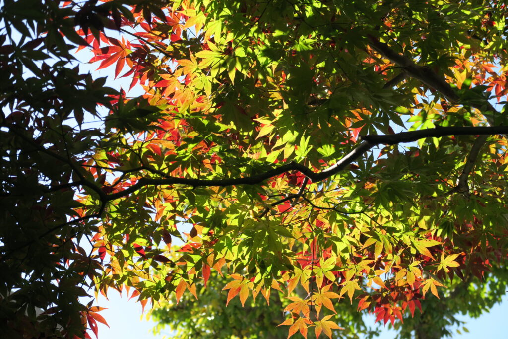 ある日の取材風景