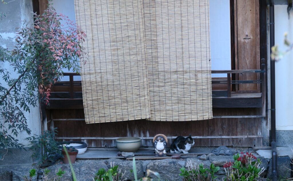 2023年ある日の取材風景