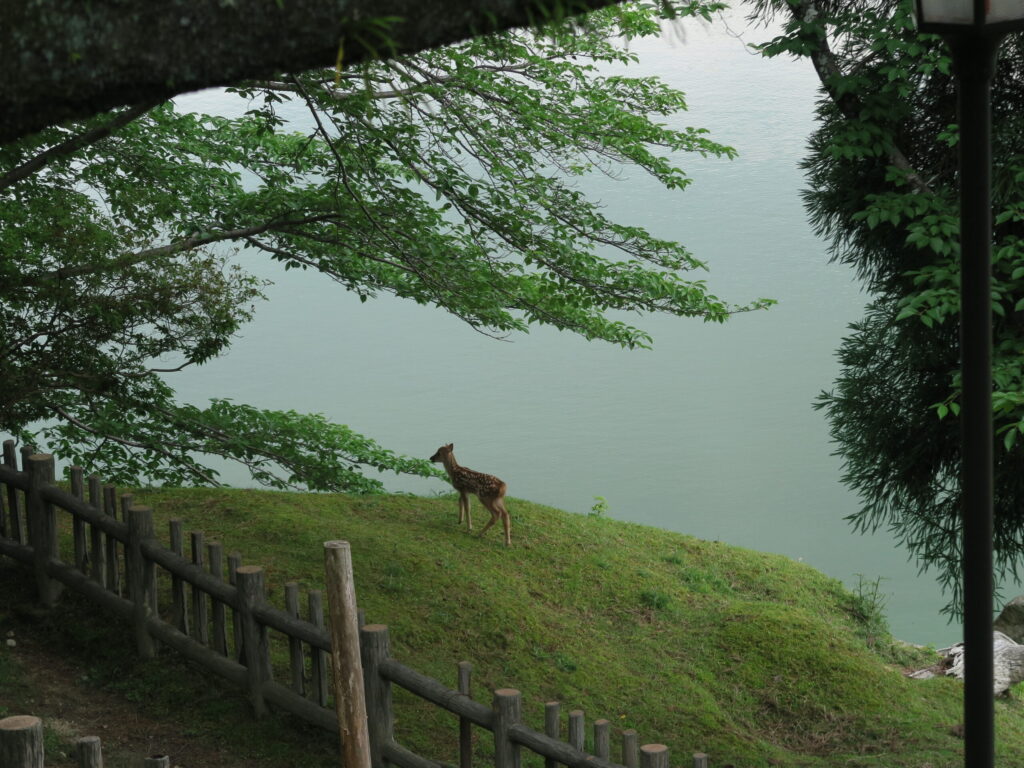 2024年ある日の取材風景
